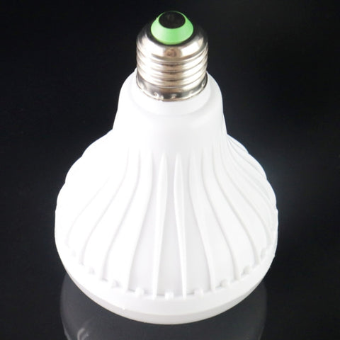 Bluetooth, Support WiFi Phone Control, Adjustable Light, with Remote Control