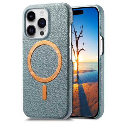 Litchi Texture Brushed MagSafe PU Back Cover Phone Case, For iPhone 14, For iPhone 14 Pro, For iPhone 14 Pro Max, For iPhone 13 Pro Max, For iPhone 13 Pro, For iPhone 13