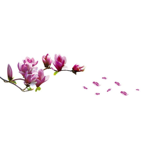 Creative PVC Magnolia DecalsWallpaper Removable DIY Art Home Decoration, Magnolia