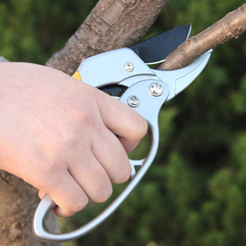 Labor-saving Hand Garden Gardening Shears Beak Manual Branch Pruning Shears, Branch Pruning Shears