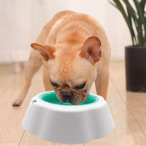 Pet Cooling Speed Cold Bowl Food Bowl, Speed Cold Bowl