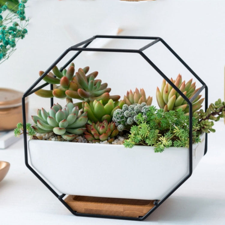 Simple Octagonal Geometric Wall Hanging Table Succulent Platter Bamboo Support Iron Frame Flower Pot