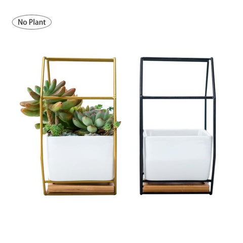 Simple Octagonal Geometric Wall Hanging Table Succulent Platter Bamboo Support Iron Frame Flower Pot