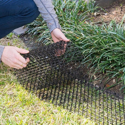 Anti-cat Net Spur Pad To Drive Cat And Dog Artifacts, 1.8x12X200cm, 1.8x30x200cm