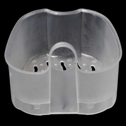 Cleaning Teeth Case Dental False Teeth Storage Box