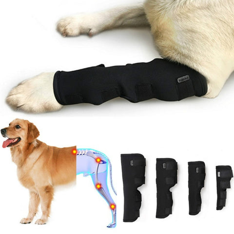 DogLemi PD60041 Dog Hock Brace Pet Supportive Rear Dog Compression Leg Joint Wrap Protects Wounds and Injury, S, M, L, XL