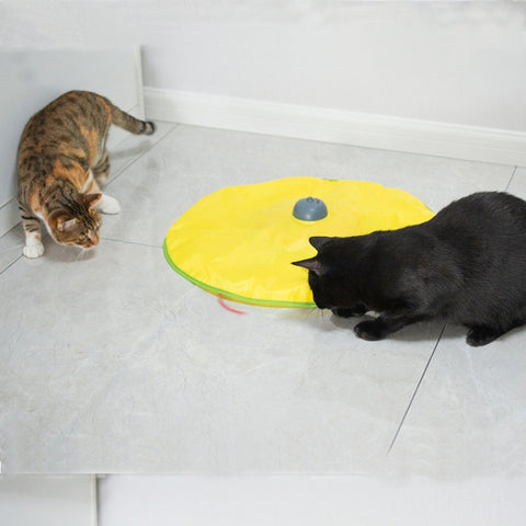 Cat Playing Board Electric Cat Turntable Automatic Cat Toy, Cat Playing Board