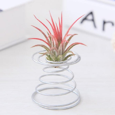 2 PCS Air Aluminum Wire Pineapple Rooting Holder Spring Base, Pineapple Rooting Holder