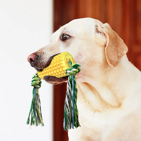 Dog Teething Stick Pet Chewing Toy, Pet Chewing Toy