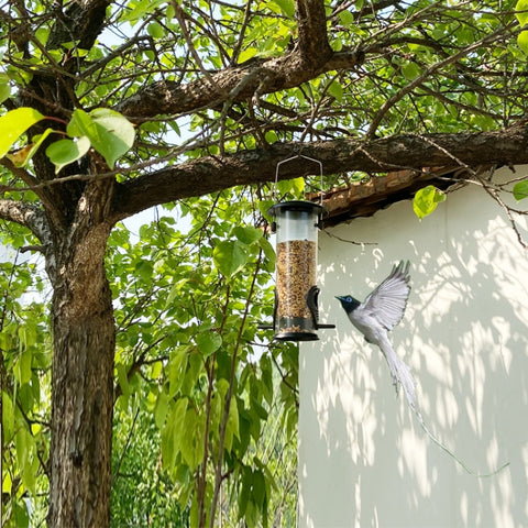 Outdoor Bird Feeder Hanging Automatic Bird Feeder, Automatic Bird Feeder