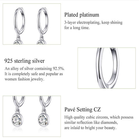S925 Sterling Silver Platinum-plated Earrings Temperament Zircon Earrings, SCE830