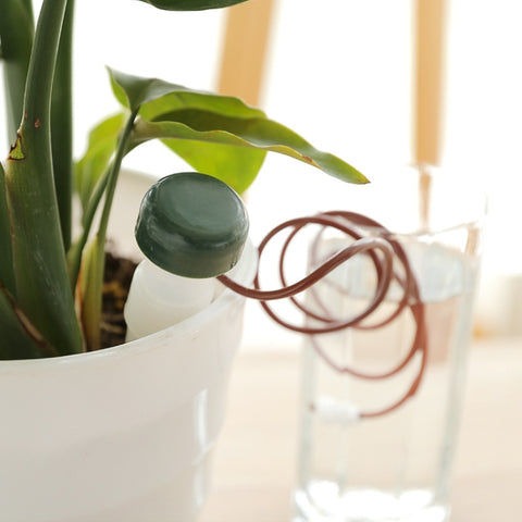 6 Sets  Flower Potted Automatic Watering Device, 6 Sets