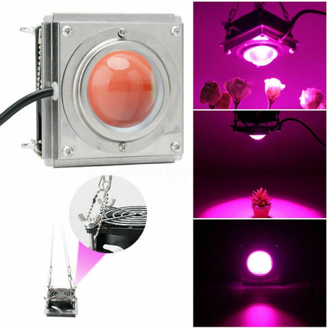 COB Plant Growth Light LED Vegetable Planting Succulent Light, Full Spectrum, Sunligh