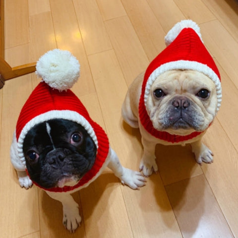 Pet Autumn & Winter Woolen Christmas Hat, XS, S, M, L, XL
