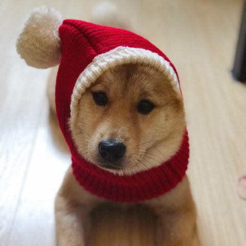 Pet Autumn & Winter Woolen Christmas Hat, XS, S, M, L, XL