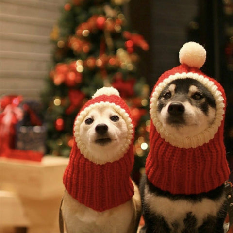 Pet Autumn & Winter Woolen Christmas Hat, XS, S, M, L, XL