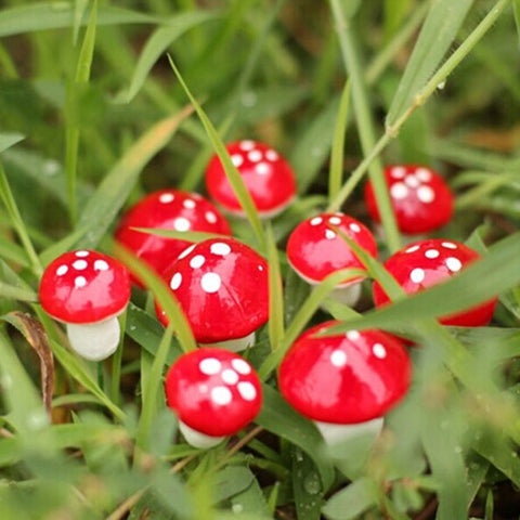 20 PCS Artificial Mini Foam Mushroom Miniature Garden Decorations, 20 PCS Foam Mushroom