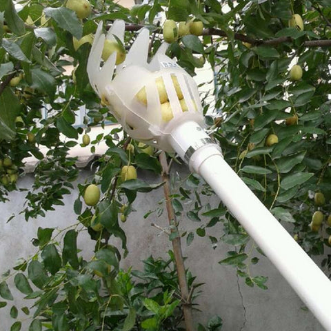 Plum Date Apricot Pick Fruit Plastic Tool, 20cm