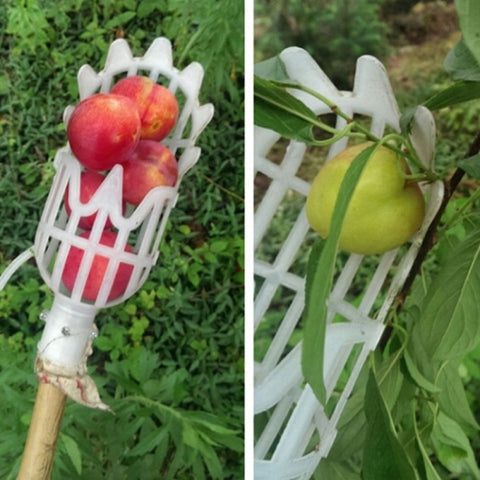 Plum Date Apricot Pick Fruit Plastic Tool, 20cm