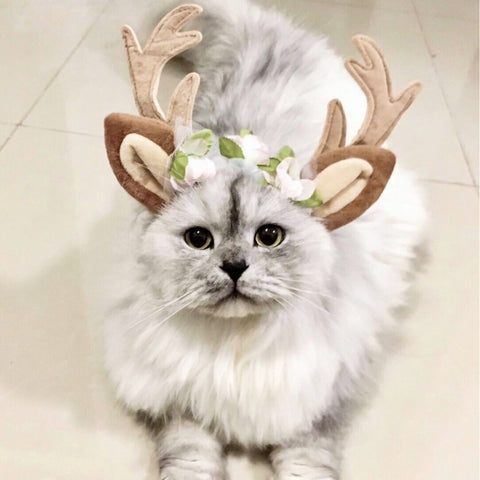 Christmas Pet Accessories Dog Hairpin Cat Ornament Christmas Antler Headband, S, M, L