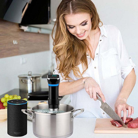Low Temperature Slow Cooker Thawed Vacuum Steak Machine, UK Plug, US Plug, EU Plug, AU Plug