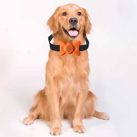 Automatic Voice Control Bark Arrester Collar Pet Supplies Trainer, White, Orange