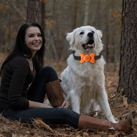 Automatic Voice Control Bark Arrester Collar Pet Supplies Trainer, White, Orange