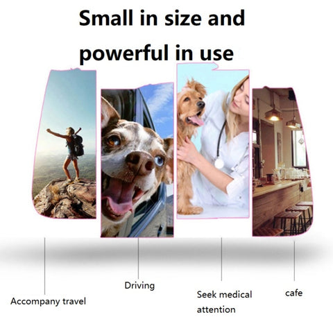 Portable Pet Backpack Dog Go Out Messenger Folding Bag Pet Supplies, Small, Medium, Large