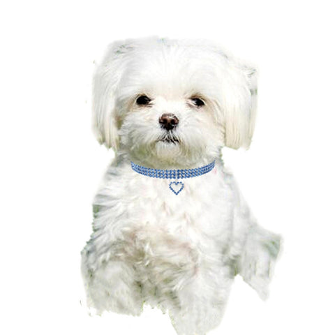Pet Supplies Elastic Love Cats And Dogs Accessories Pet Collars, S, M, L