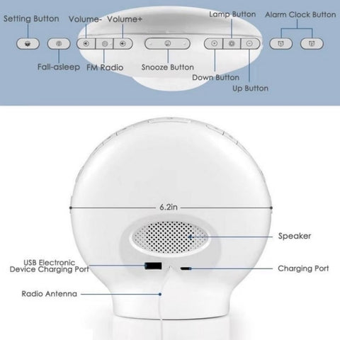 Alexa Voice-Activated Electronic Alarm Clock Sunrise Wake Up Night Light Support Smart APP Control,, EU Plug, US Plug, UK Plug