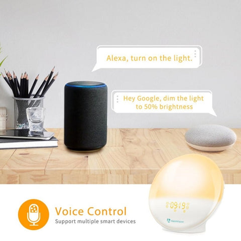 Alexa Voice-Activated Electronic Alarm Clock Sunrise Wake Up Night Light Support Smart APP Control,, EU Plug, US Plug, UK Plug