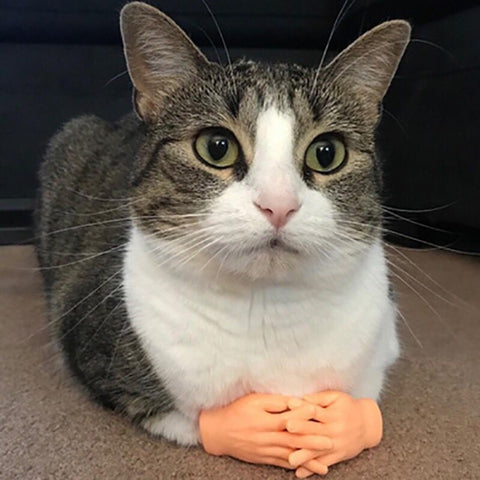 Pet Massage Finger Cots and Cat Gloves, Massage Finger