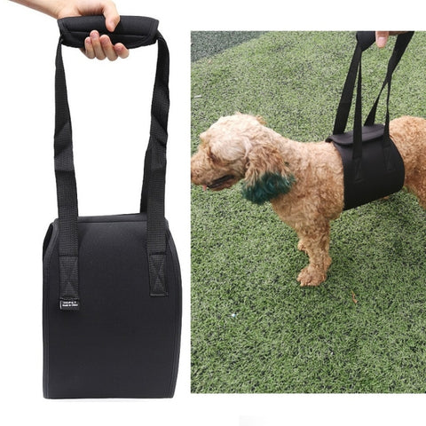 HCPET F1905 Disabled Dogs Assistive Belts Elderly Dogs Walking Assisted Leashes Pet Supplies, S, M, L