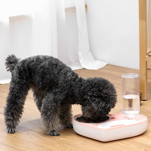 Pet Bowl Love And Moisture-Proof Mouth Dual-Use Bowl Cat Automatic Water Bowl, Blue, Grey, Pink