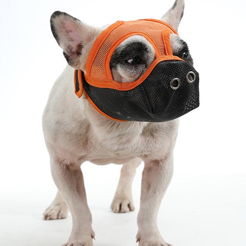 Bulldog Mouth Cover Flat Face Dog Anti-Eat Anti-Bite Drinkable Water Mouth Cover, S, M, L