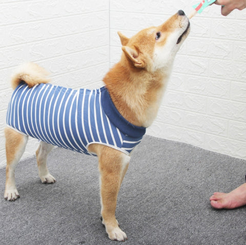 Pet Sterilization Surgical Gown Highly Elastic And Breathable Postoperative Nursing Clothes, XS, S, M, L, XL, XXL, XXXL