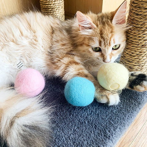 3pcs Funny Cat Toy Ball Simulation Animal Vocal Ball, EVA Material, Wool Material