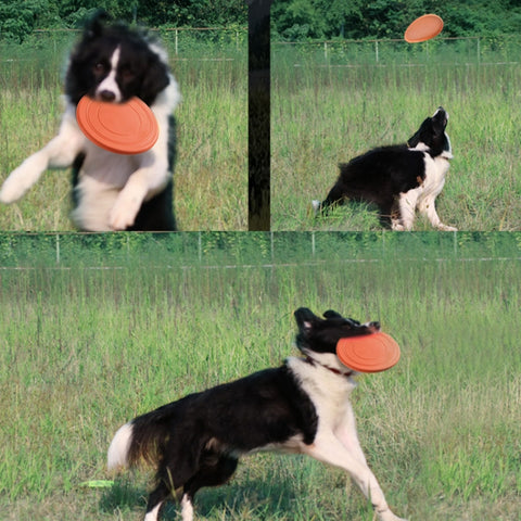 Pet Toy Flying Disc Pet Interactive Training Floating Water Bite-Resistant Soft Flying Disc, Orange, Black, Red, Purple, Blue, Yellow, Green