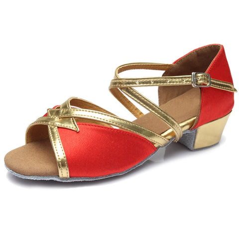 Tango Salsa Latin Low Heel Soft Bottom Dance Shoes for Girls & Women, 41, 39