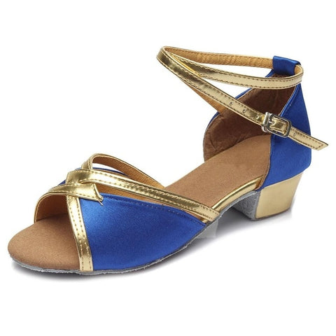 Tango Salsa Latin Low Heel Soft Bottom Dance Shoes for Girls & Women, 41, 39