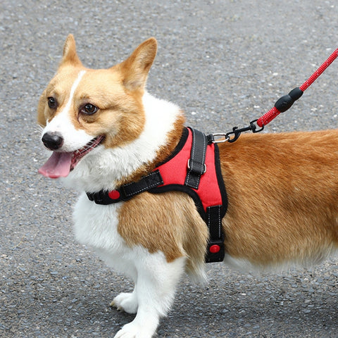 K9 Dog Adjustable Chest Strap, Size:, L, XL