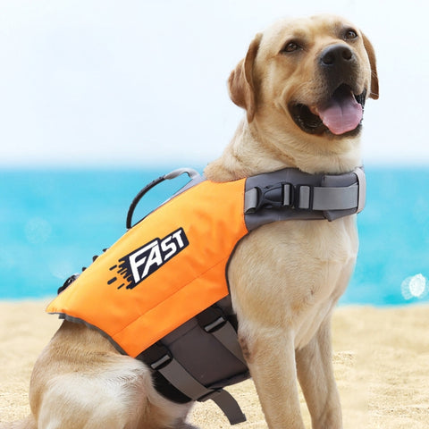 Reflective Printed Pet Dog Life Jacket Swimsuit, M, L