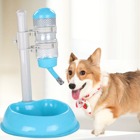 Pet Anti-Skid & Leak-Proof Automatic Water Dispenser, Green, Wine Red, Rose Red, Blue