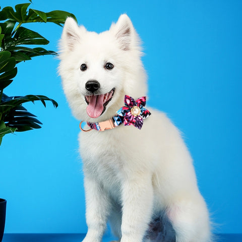 Pet Flower Adjustable Collar Metal Buckle Can be Engraved Dog Collar, Size:, XS 1.5x30cm, S 1.5x40cm, M 2.0x50cm, L 2.5x60cm