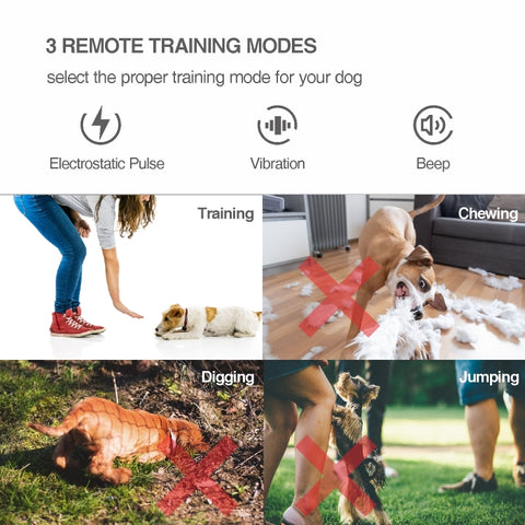 Intelligent Remote Control Dog Trainer Automatic Barking Stop Collar, Collar Black, Collar White
