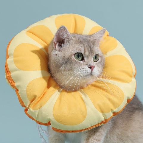Cat Elizabeth Collar Kitten Anti-licking Collar Head Cover, Size:, S, M, L