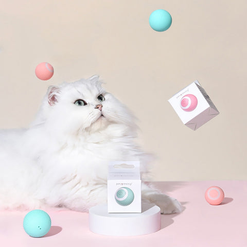 0001 Smart Gravity Teaser Cat Rolling Ball Teeth Resistant Cat Toys, Roller Pink, Roller Blue