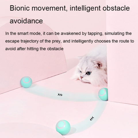 0001 Smart Gravity Teaser Cat Rolling Ball Teeth Resistant Cat Toys, Roller Pink, Roller Blue
