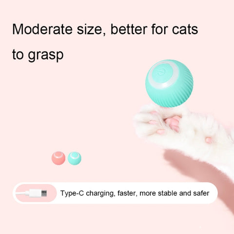 0001 Smart Gravity Teaser Cat Rolling Ball Teeth Resistant Cat Toys, Roller Pink, Roller Blue