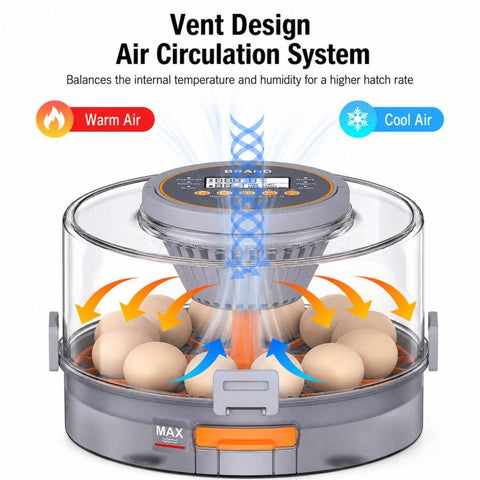 Precise Temperature Control Incubator For 12-18 Eggs, EU Plug, EU Plug